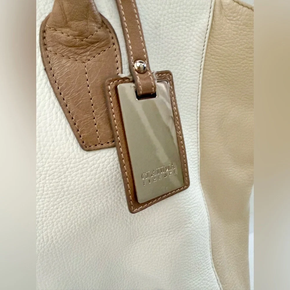 Claudia Firenze Pebble Leather Color Block Tote Bag